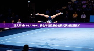 深入解析SS-LA VPN，安全与性能兼备的现代网络隧道技术