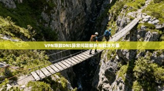 VPN导致DNS异常问题解析与解决方案