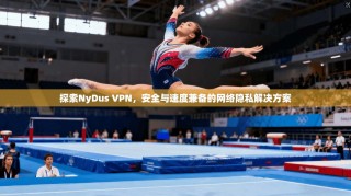 探索NyDus VPN，安全与速度兼备的网络隐私解决方案