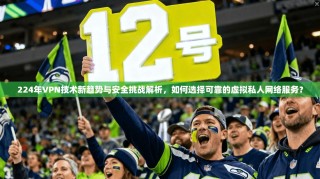224年VPN技术新趋势与安全挑战解析，如何选择可靠的虚拟私人网络服务？
