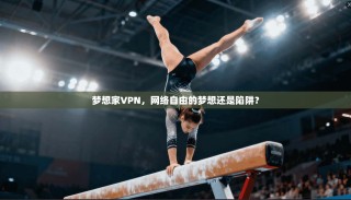 梦想家VPN，网络自由的梦想还是陷阱？