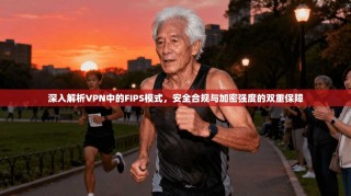 深入解析VPN中的FIPS模式，安全合规与加密强度的双重保障
