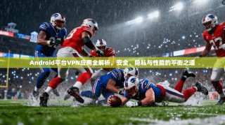 Android平台VPN应用全解析，安全、隐私与性能的平衡之道