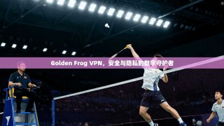Golden Frog VPN，安全与隐私的数字守护者