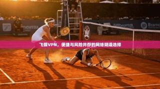 飞蝶VPN，便捷与风险并存的网络隧道选择