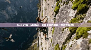 Free VPN HideOne，安全上网的利器还是潜在风险？