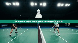 Windows 8环境下配置与优化VPN软件的实用指南