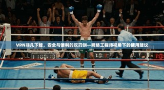 VPN非凡下载，安全与便利的双刃剑—网络工程师视角下的使用建议