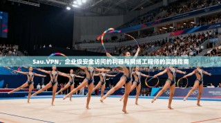 Sau.VPN，企业级安全访问的利器与网络工程师的实践指南