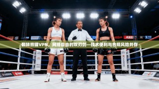 翻转熊猫VPN，网络自由的双刃剑—技术便利与合规风险并存