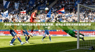 天融信VPN客户端64位版本使用与配置详解，提升企业远程访问安全性的关键一步