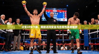 计生VPN下载，网络访问安全与合规性风险解析