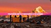 苹果设备使用代理IP与VPN服务的网络优化与安全策略解析