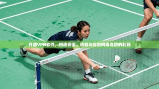 开源VPN软件，构建安全、透明与自由网络连接的利器