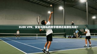 BUER VPN，安全与隐私的数字盾牌还是潜在风险？
