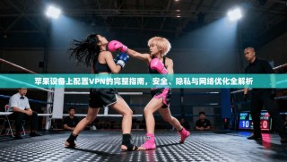 苹果设备上配置VPN的完整指南，安全、隐私与网络优化全解析