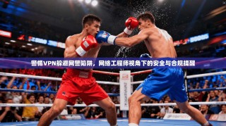 警惕VPN躲避网警陷阱，网络工程师视角下的安全与合规提醒