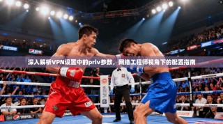 深入解析VPN设置中的priv参数，网络工程师视角下的配置指南