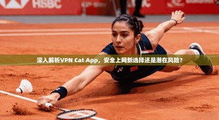 深入解析VPN Cat App，安全上网新选择还是潜在风险？