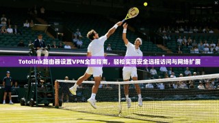 Totolink路由器设置VPN全面指南，轻松实现安全远程访问与网络扩展