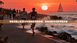 黑莓设备上配置VPN连接的完整指南，安全远程访问的关键步骤