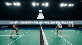 心阶VPN，安全与效率的平衡之道—网络工程师视角下的深度解析