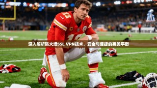 深入解析防火墙SSL VPN技术，安全与便捷的完美平衡