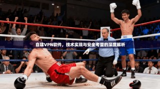 自建VPN软件，技术实现与安全考量的深度解析