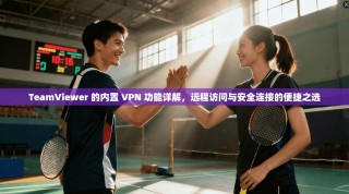 TeamViewer 的内置 VPN 功能详解，远程访问与安全连接的便捷之选