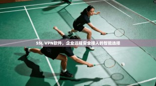 SSL VPN软件，企业远程安全接入的智能选择