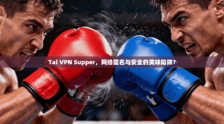 Tai VPN Supper，网络匿名与安全的美味陷阱？