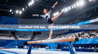 CloudWall VPN App，企业级安全连接的云端利器