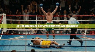 浙江地区网络环境下的VPN使用合规性与技术实践探讨