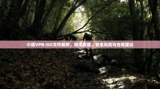 小语VPN ISO文件解析，技术原理、安全风险与合规建议