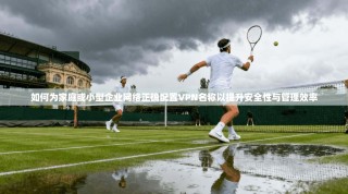 如何为家庭或小型企业网络正确配置VPN名称以提升安全性与管理效率