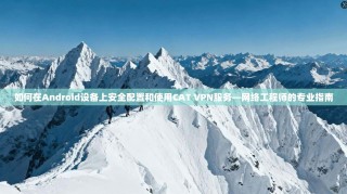 如何在Android设备上安全配置和使用CAT VPN服务—网络工程师的专业指南