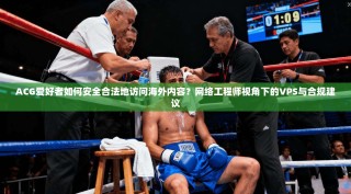 ACG爱好者如何安全合法地访问海外内容？网络工程师视角下的VPS与合规建议