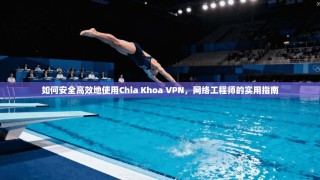 如何安全高效地使用Chia Khoa VPN，网络工程师的实用指南