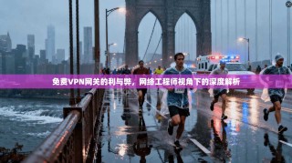 免费VPN网关的利与弊，网络工程师视角下的深度解析