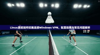 Linux系统如何优雅连接Windows VPN，配置指南与常见问题解析