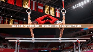 诺基亚800 VPN配置指南，如何在老旧设备上安全访问企业网络