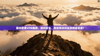 国外收费VPN推荐，如何安全、高效地访问全球网络资源？