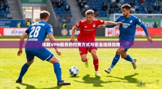 详解VPN服务的付费方式与安全选择指南