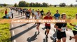 Mega盘与VPN的完美结合，提升数据安全与隐私的新选择