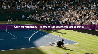 ANIP VPN技术解析，实现安全远程访问的现代网络解决方案