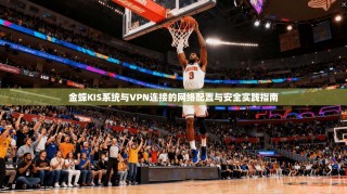 金蝶KIS系统与VPN连接的网络配置与安全实践指南