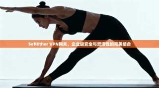 SoftEther VPN网关，企业级安全与灵活性的完美结合