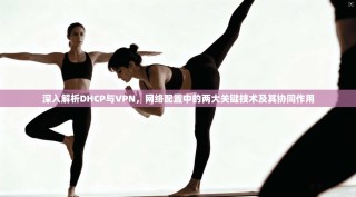 深入解析DHCP与VPN，网络配置中的两大关键技术及其协同作用