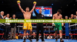 企业网络优化新策略，如何安全高效地打通VPN连接以提升远程办公体验