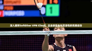 深入解析SoftEther VPN Client，企业级安全与灵活性的完美结合